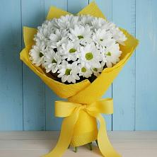 Букет цветов из:  Хризантемы в Новое Девяткино