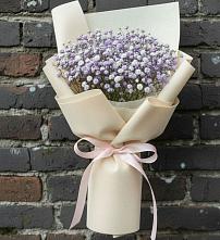 Букет цветов из:  Гипсофила в Новое Девяткино