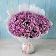 Букет цветов из:  Хризантемы в Новое Девяткино