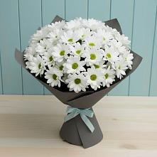 Букет цветов из:  Хризантемы #REPLACE_PRED# Новое Девяткино