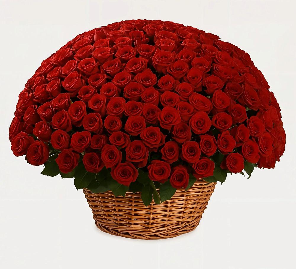 Премиум букет из: Розы в Новое Девяткино