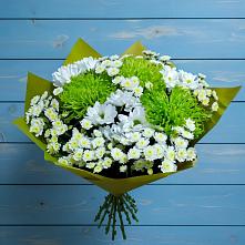 Букет цветов из:  Хризантемы #REPLACE_PRED# Новое Девяткино