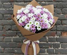 Букет цветов из:  Хризантемы в Новое Девяткино