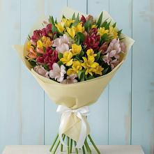 Букет цветов из:  Альстромерии в Новое Девяткино