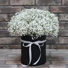 Цветочная композиция из Гипсофила в шляпной коробке #REPLACE_PRED# Новое Девяткино