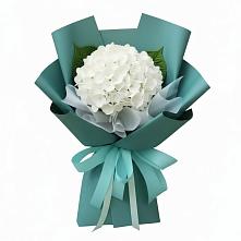 Букет цветов из:  Гортензия #REPLACE_PRED# Новое Девяткино